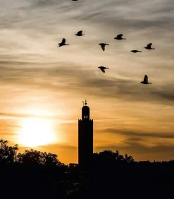 36 Hours World, The New York Times