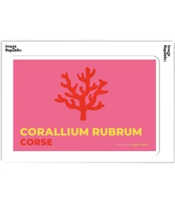 Affiche Anjuna Boutan Corse 38 X 56 Cm