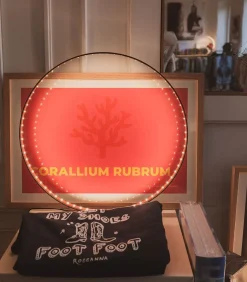 Affiche Anjuna Boutan Corse 38 X 56 Cm