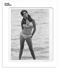 Affiche La Galerie Raquel Welch 4 38 X 56 Cm