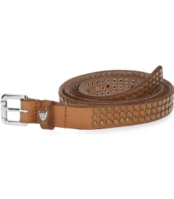 Ceinture En Cuir 3000 Studs Colorblock