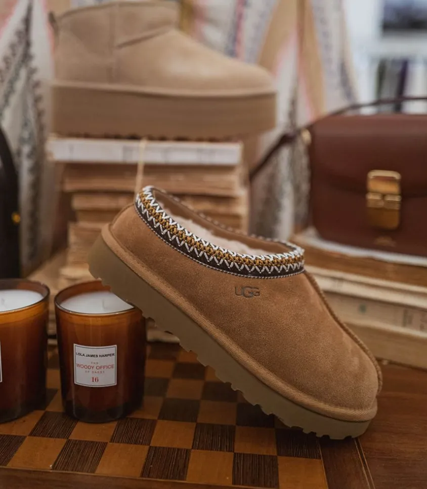 Chausson Tasman Chestnut