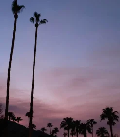 Eau De Toilette #27 Do What You Love With People You Love 100Ml