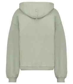 Hoodie Izubird Sauge Vintage