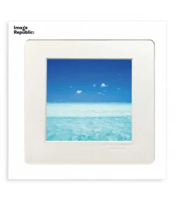 L'Iconolatre 0281 22 X 22