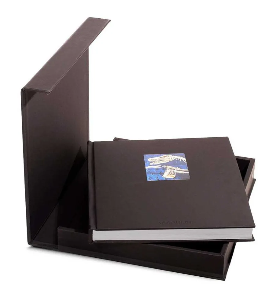 Livre Louis Vuitton Windows (Ultimate Edition)