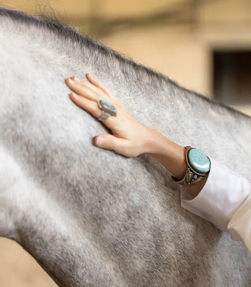 Manchette Navajo Turquoise Arizona