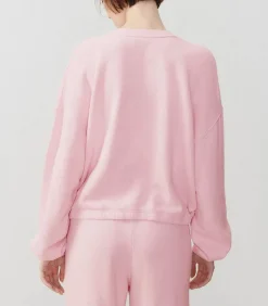 Sweat-Shirt Izubird Dragee Vintage