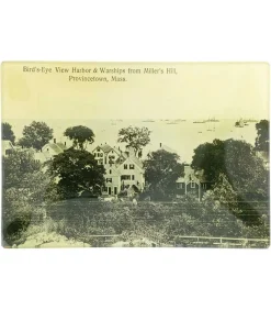 Vide-Poches Vintage "Bird'S Eye View"