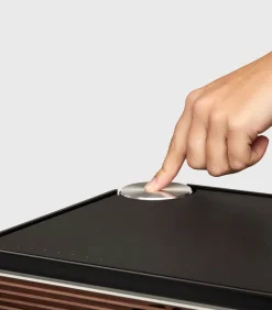 Enceinte Multiroom Pr Link Noir/Noyer