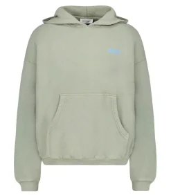 Hoodie Izubird Sauge Vintage