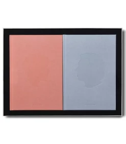 Livre Marriage Story