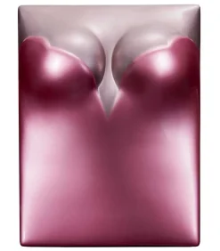 Livre Naomi Campbell, Edition Collector